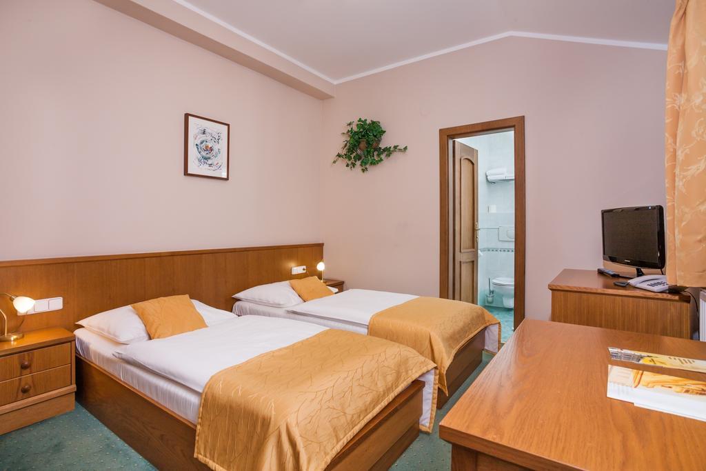 Hotel Jelínkova vila Velké Mezirici Quarto foto